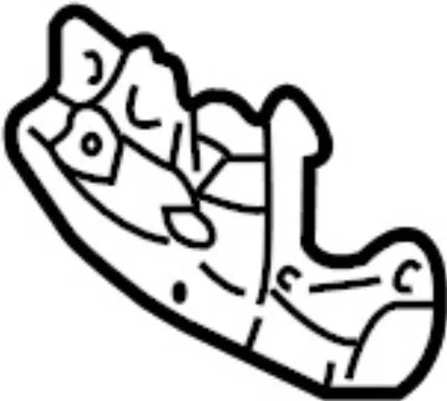 656011W301 - Body: Lock for INFINITI: QX4 Image