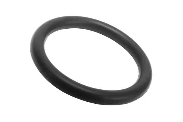 Oil Tube Seal - GM (12697071)