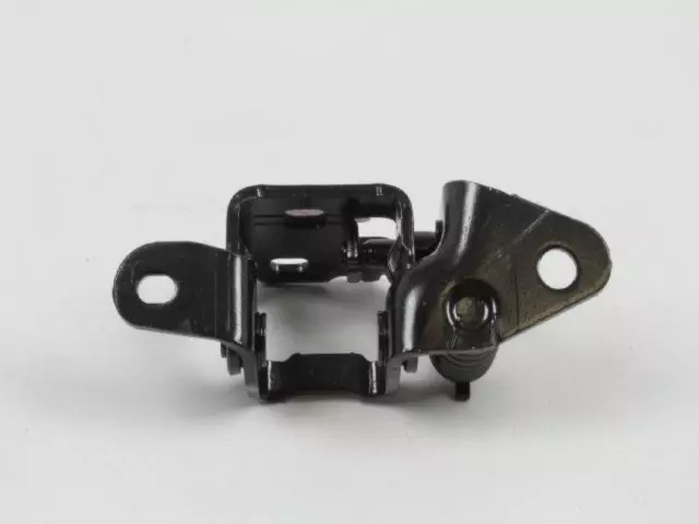 Rear Door Lower Hinge, Right - Mopar (55360918AK)