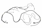 84752655 - : Headlining Trim Panel Harness for GM Image
