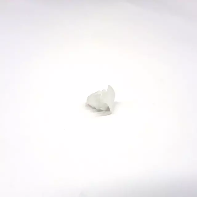 8R0853909A - : Lower Molding Clip for Audi: e-tron Quattro, e-tron S, e-tron S Sportback, e-tron Sportback, Q3, Q3 Quattro, Q5, Q8, Q8 e-tron, Q8 e-tron Sportback, RS Q8, SQ5, SQ8, SQ8 e-tron, SQ8 e-tron Sportback Image