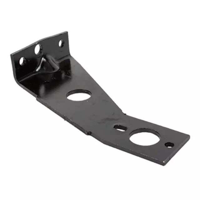 Tail Lamp Assembly Mount Bracket - Ford (F81Z-13470-AA)