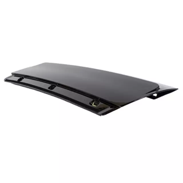 2016-2019 Ford - Upper Molding - Ford (FB5Z-78290A61-AA)