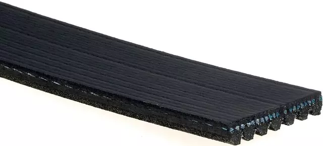 Belt - GM (19310996)