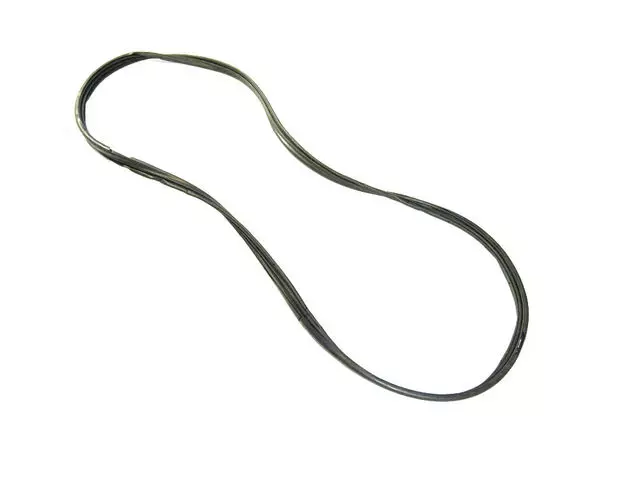 4763671AB - : Liftgate Glass Weatherstrip for Mopar Image