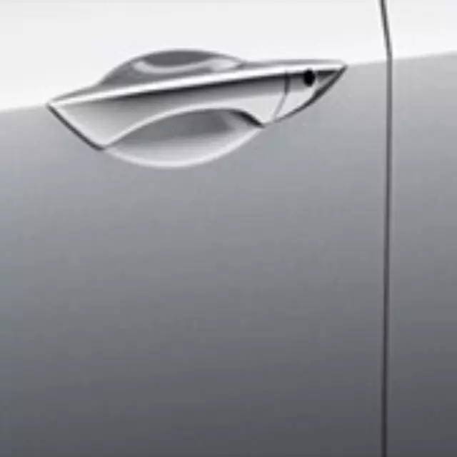 Door Edge Film - Acura (08P20-TL2-200A)