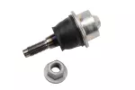 19256481 - Suspension: Front Lower Control Arm Ball Joint for ACDelco Image