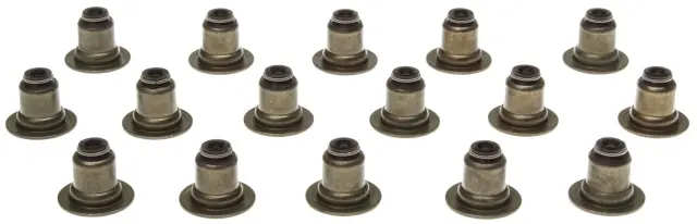 SS46073 - Gaskets: Engine Valve Stem Oil Seal Set for Mahle Image