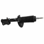 AST899 - : Suspension Strut Assembly  for Motorcraft Image