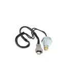 670155 - : Back Up Light Switch for ROSTRA Image