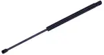 612399 - : Liftgate Lift Support for Tuff Support Image