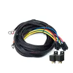 FPHWK10DP - : Dual-pump Universal Kit to Hardwire Two Fuel Pumps to Battery for DeatschWerks Image