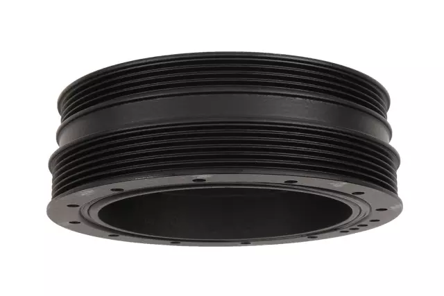 Vibration Damper - GM (12560115)