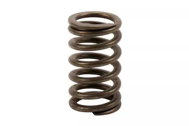 Engine Valve Spring - GM (12596078)