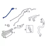 L1MZ9G297A - : Vapor Hose for Ford Image