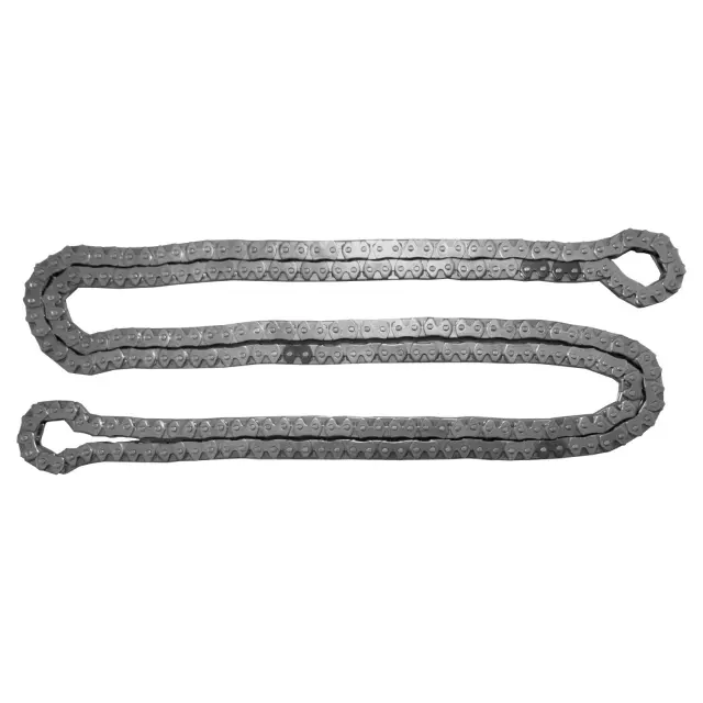 ZCC738F - Engines &amp; Components: INA US Engine Timing Chain for INA US Image