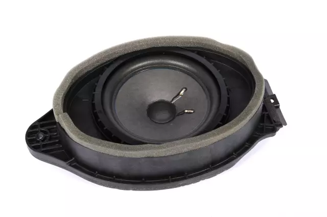20940036 - Body: Front Dr Speaker for Cadillac: XTS Image