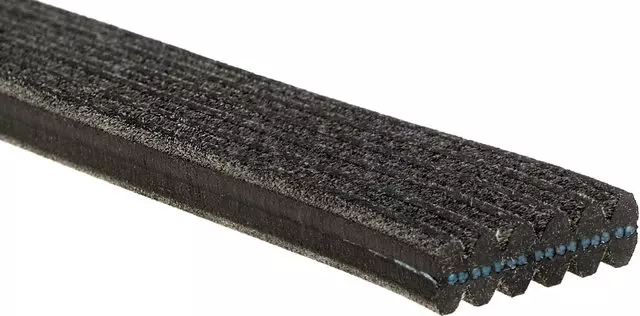Belt - GM (19148130)