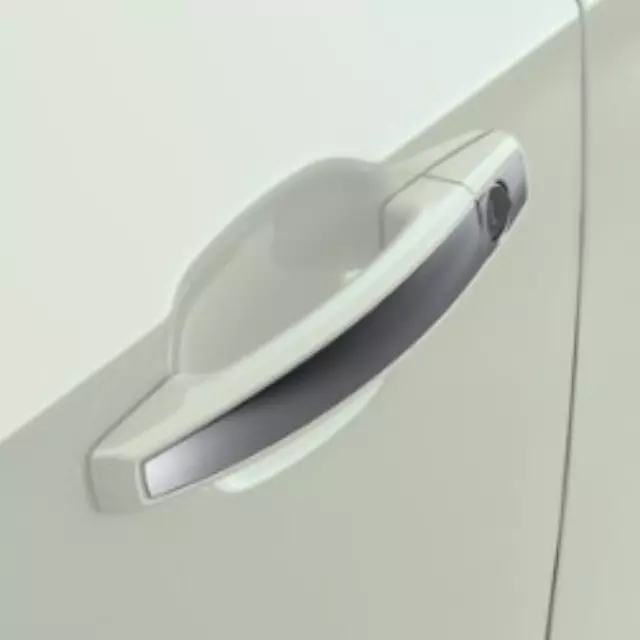 Door Handles, Front - GM (95964717)