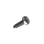 68095855AA - Doors, Door Mirrors and Related Parts: Torx Screw for Ram: ProMaster 1500, ProMaster 2500, ProMaster 3500, ProMaster EV Image