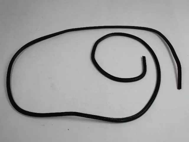 5174606AA - Body Sheet Metal Except Doors: Sunroof Glass Seal for Mopar Image image