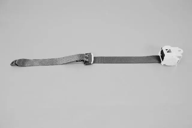 WU66ZJ3AE - Restraints: Rear Outer Seat Belt for Mopar Image