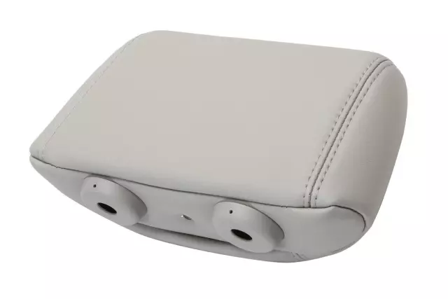 15901253 - Body: Headrest for Chevrolet: Traverse | GMC: Acadia | Saturn: Outlook Image