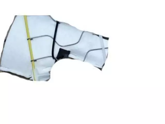 Seat Lumbar Support Cushion - Ford (CU5Z-9665500-U)