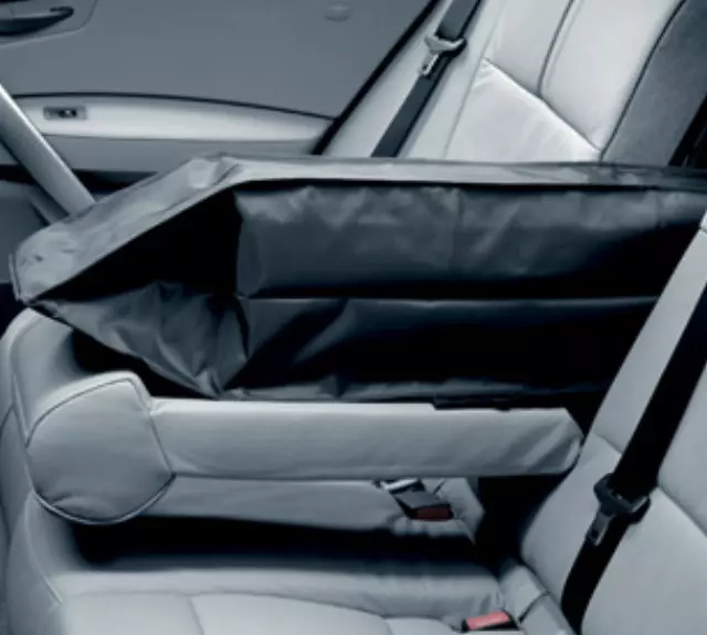 52209168952 - Body: Ski Bag-Black for BMW: X3 Image