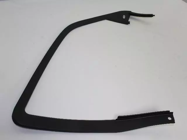 Door Window Opening Molding, Left - Mopar (1AY79XXXAC)