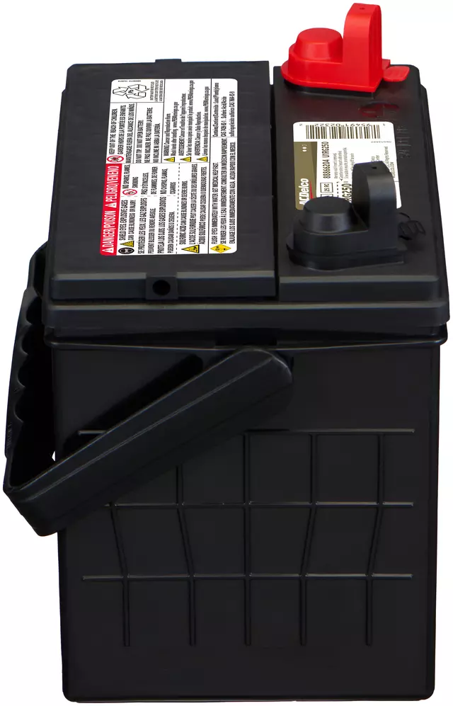 Vehicle Battery - ACDelco (U1RG250)