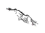 68489590AF - Electrical: Instrument Panel Wiring for Mopar Image