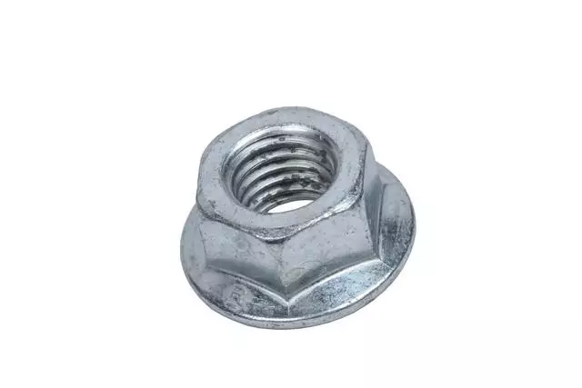 19404759 - : F (S)Nut for GM Image