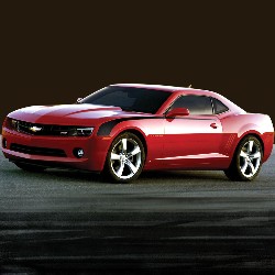 Body Decal Kit - GM (22768987)