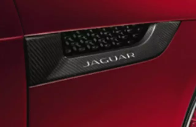 Side Power Vent - Carbon Fiber - Left Side - Jaguar (T2R5394)