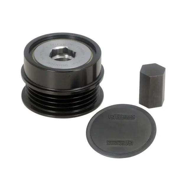 920098A - Charging &amp; Starting Systems: Litens Alternator Decoupler Pulley for Litens Image
