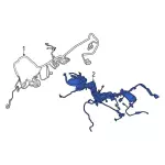 LC3Z12A581A - Electrical: Engine Harness for Ford: F-250 Super Duty Image