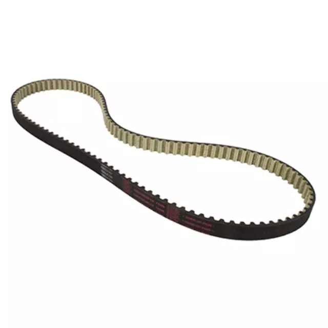 2014-2021 Ford - Timing Belt - Ford (CM5Z-6268-A)