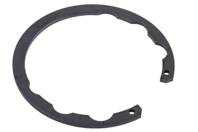 94071528 - : F Ring for GM Image