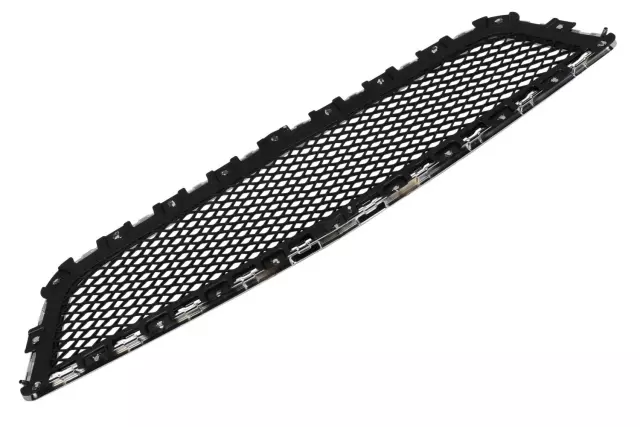 20756061 - : Front Lower Grille for Chevrolet: Traverse Image