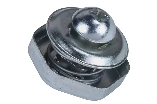 F Striker - GM (98068145)