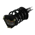 810360 - : Buick, Cadillac (Sedan) Suspension Strut and Coil Spring Assembly  - Front for GSP Image