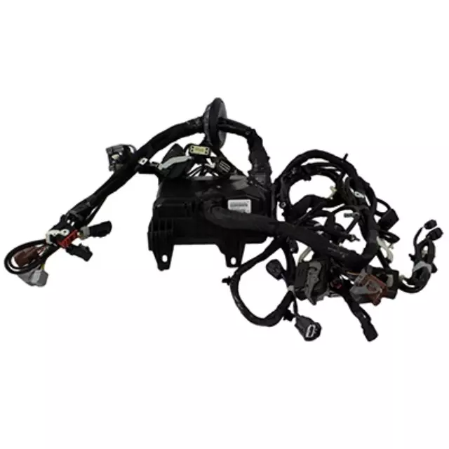Wire Assembly - Ford (FL3Z-12A581-BW)