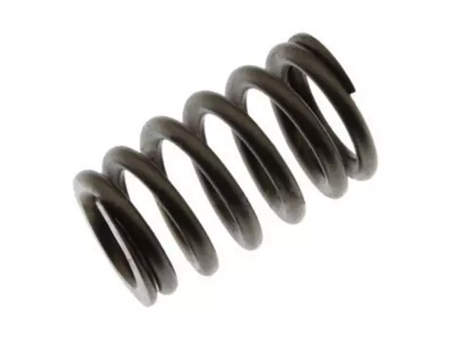F6LZ6513AB - Engine: Valve Springs for Ford: Crown Victoria, Mustang | Lincoln: Aviator, Blackwood, Continental, Mark VIII, Navigator | Mercury: Grand Marquis, Marauder Image