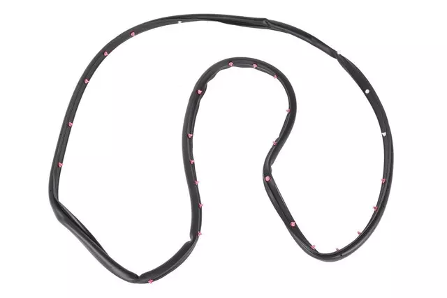 20864656 - Body: Door Weather-strip for GM Image