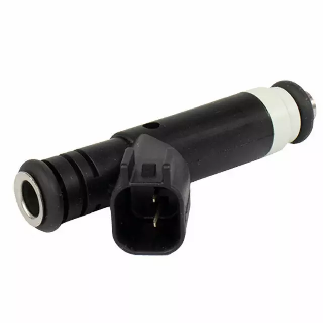 Injector Assembly - Ford (QCM24)