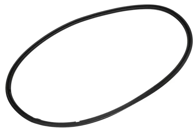 Side Door Window Weatherstrip - GM (22888209)