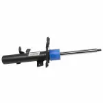 AST12319 - : Motorcraft™ Strut for Ford: Focus Image