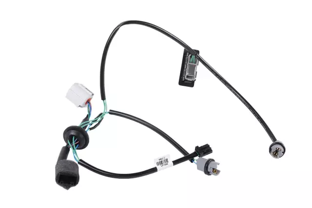 Rear License Plate Lamp Wire - GM (42344997)