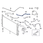LK4Z8063B - Cooling System: Reservoir Hose for Ford: Transit-150, Transit-250, Transit-350, Transit-350 HD Image